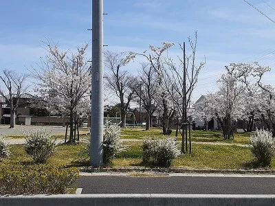 浅平公園まで300m