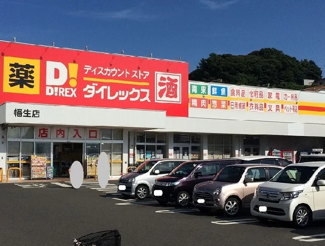 ダイレックスまで1100m