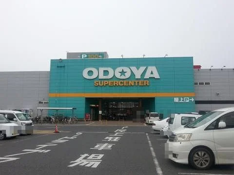 おどやスーパーセンター館山店まで1100m