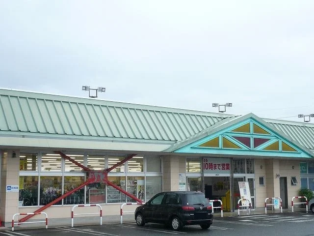 タイヨー都城郡元店まで1100m
