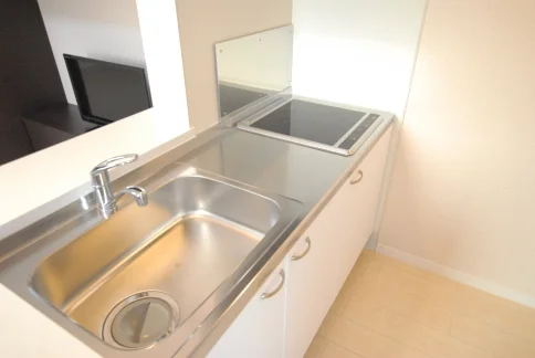 同タイプ写真の為、現況優先。