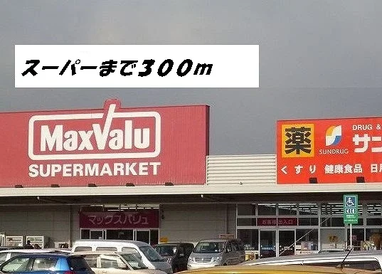 マックスバリュ・サンドラッグまで300m