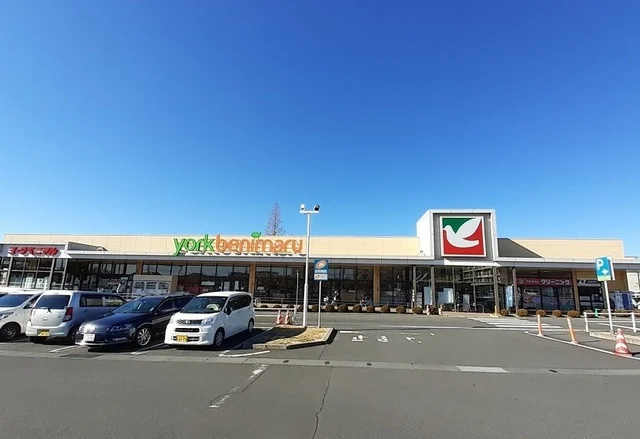 ヨークベニマル東大島店まで990m