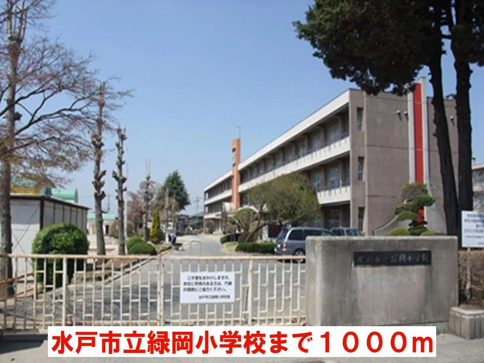 水戸市立緑岡小学校まで1000m