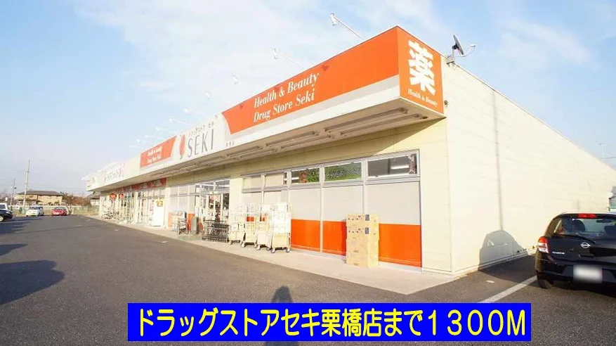 ドラッグストアセキ栗橋店まで1300m