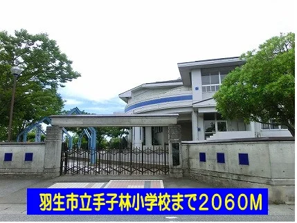 羽生市立手子林小学校まで2060m