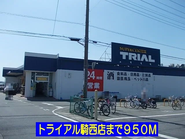 トライアル騎西店まで950m