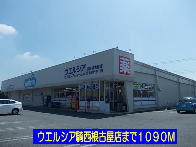 ウェルシア騎西根古屋店まで1090m