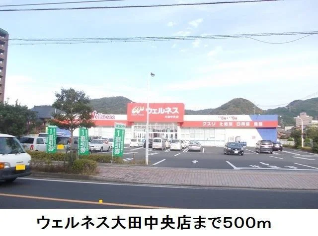 ウェルネス大田中央店まで500m