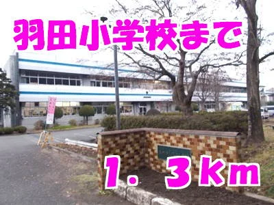 羽田小学校まで1300m