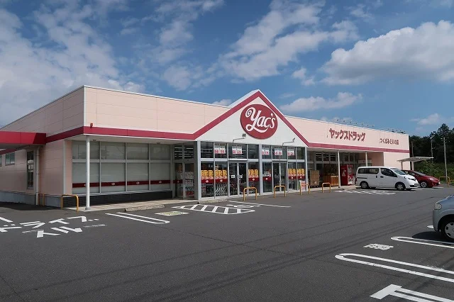 ヤックスドラッグみどりの店まで500m