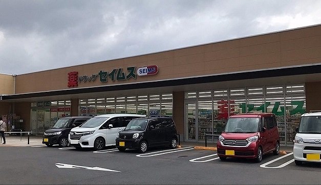 ドラッグセイムス　大宮清河寺店まで600m