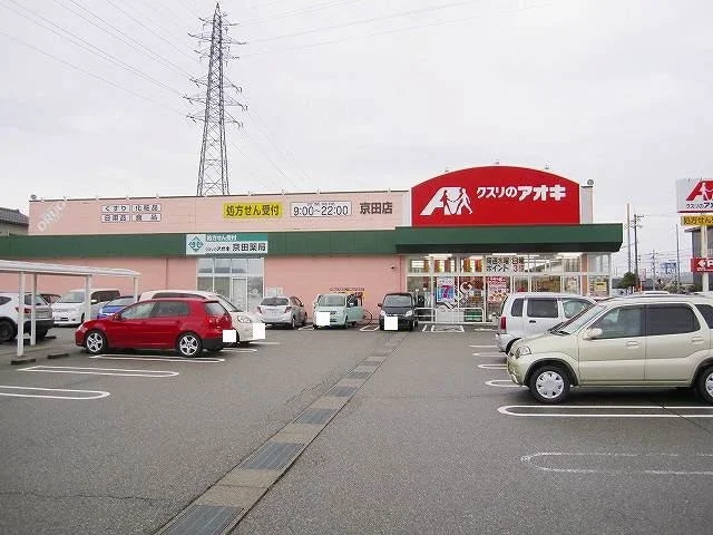 クスリのアオキまで1100m