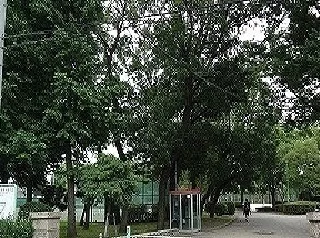 松葉公園まで350m