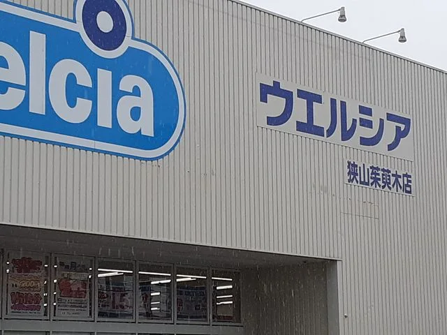 ウエルシア狭山茱萸木店様まで553m