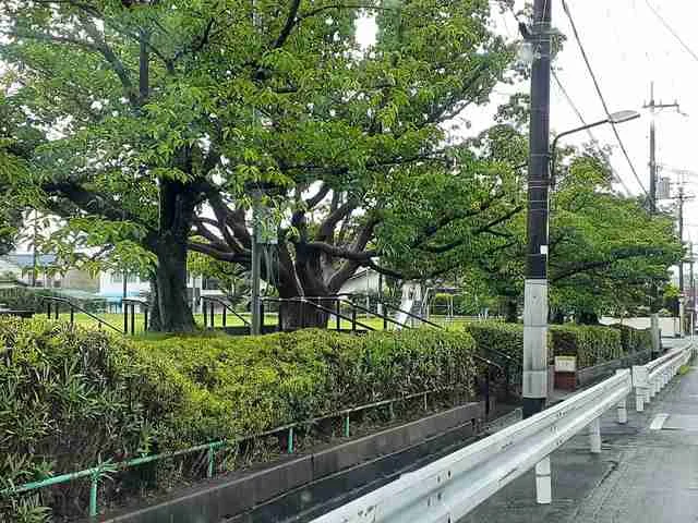 寺池公園まで879m