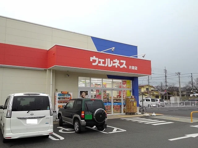 ウェルネス片原店まで1300m