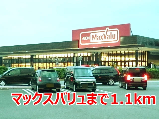マックスバリュまで1100m