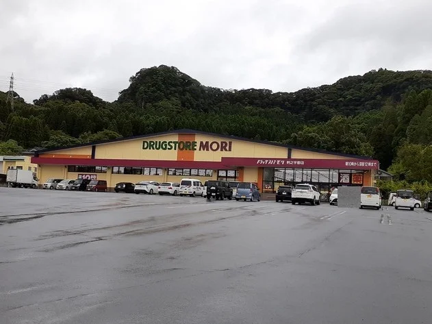 ドラッグストアモリ剣之宇都店まで650m