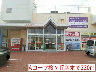 Aコープまで220m