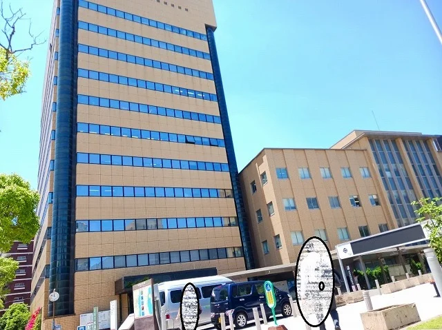 鹿児島市役所まで800m