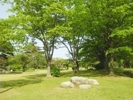 赤坂山公園まで600m