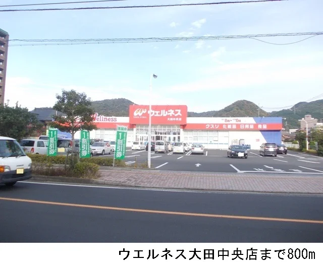 ウエルネス大田中央店まで800m