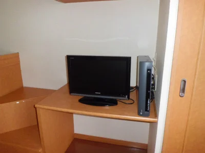 薄型液晶テレビとレオネット。