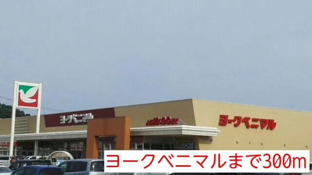 ヨークベニマルまで300m