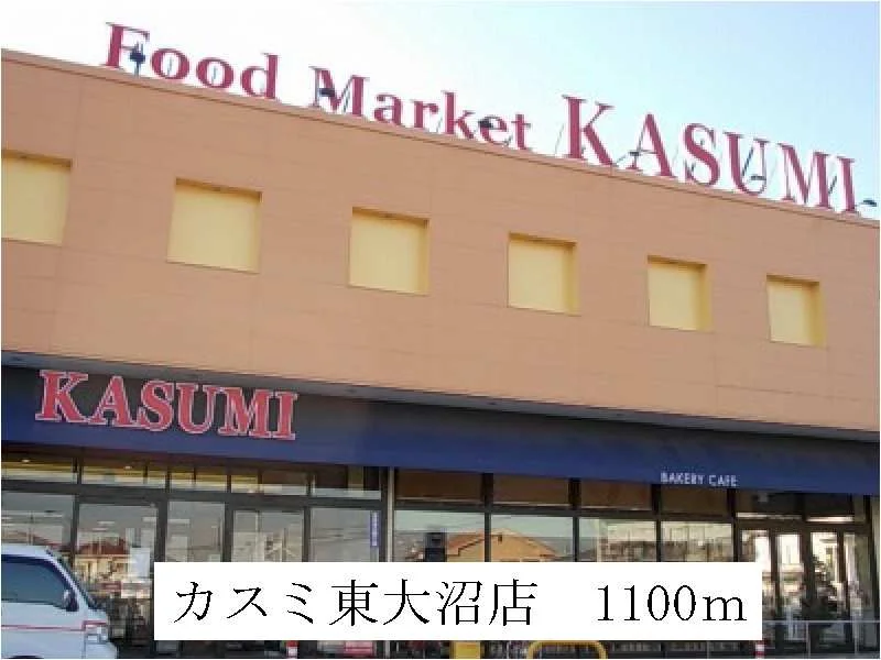 カスミ　東大沼店まで1100m