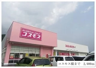 コスモスまで2900m