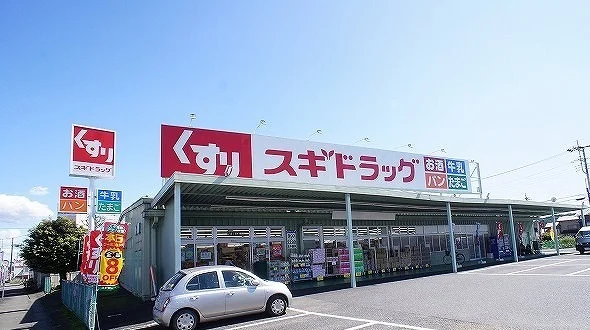 スギドラッグ 飯能店まで1100m