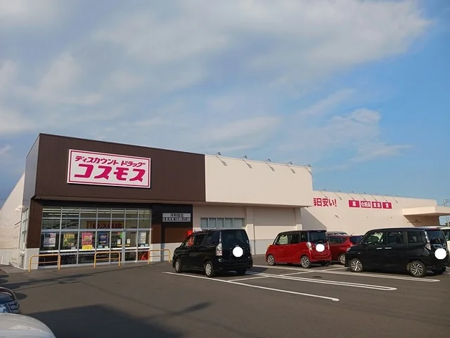 コスモス　河和田店まで900m