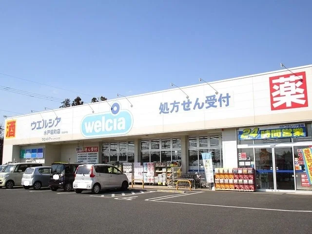 ウエルシア　堀町店まで650m
