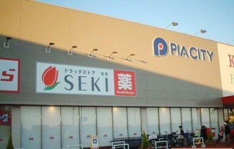 セキ薬局まで1100m