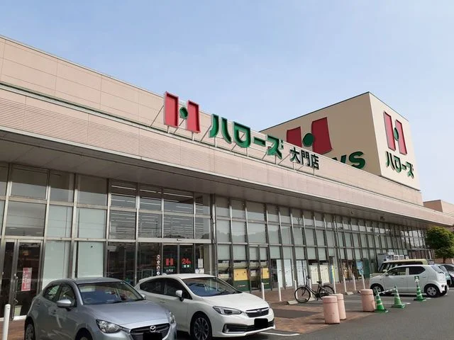 ハローズ大門店まで665m