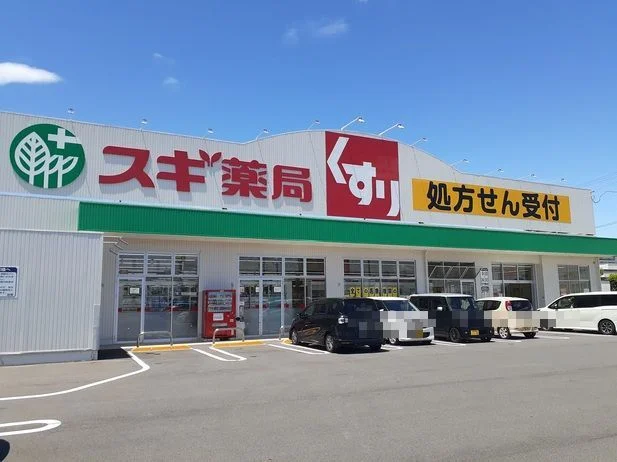 スギドラッグ岐南店まで850m