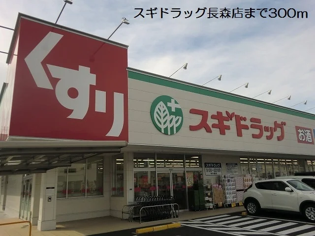 スギドラッグ長森店まで300m