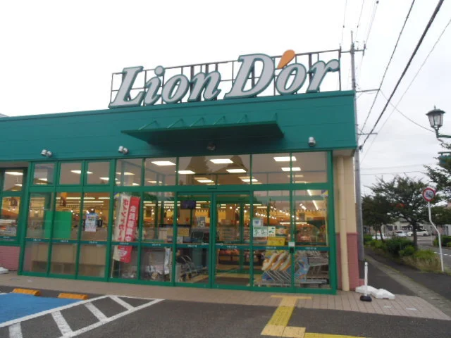 リオンドール南中央店まで1190m