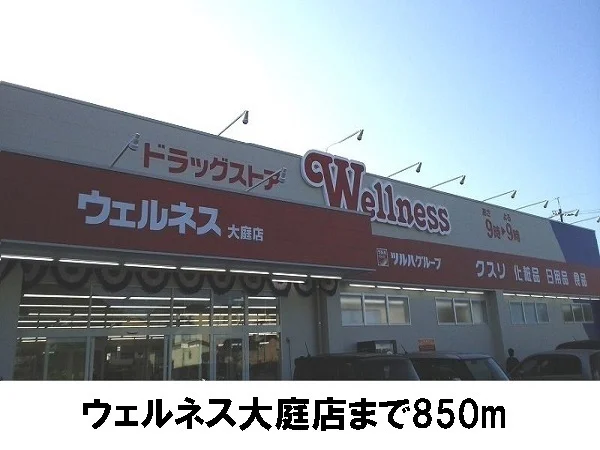 ウェルネス大庭店まで850m