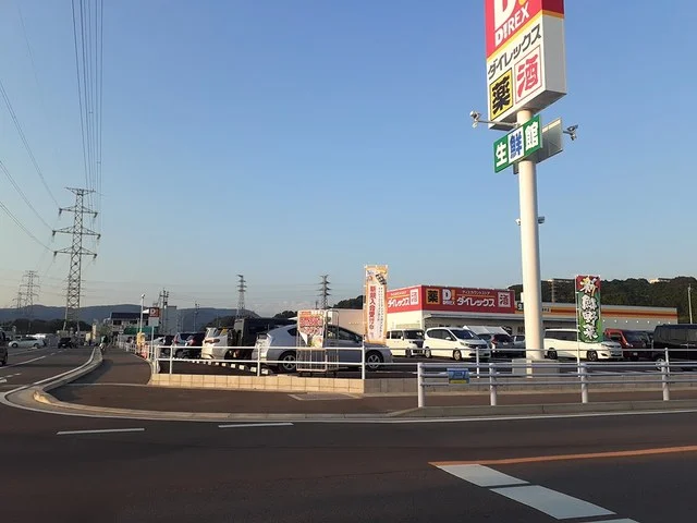 ダイレックス西諫早店まで1703m