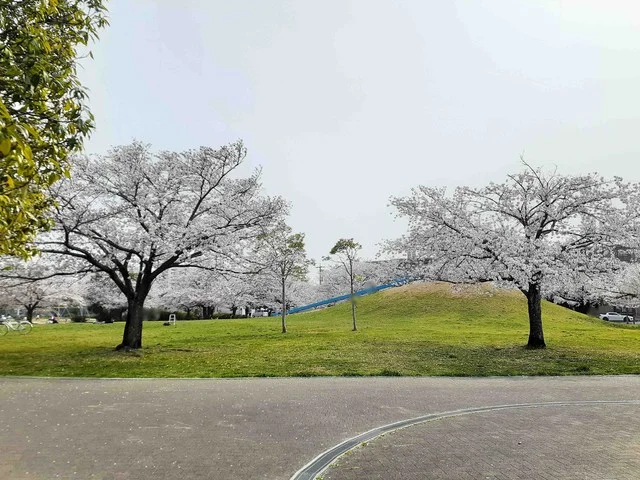 葵が丘公園まで171m