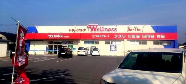 ウェルネス 淀江店まで3400m