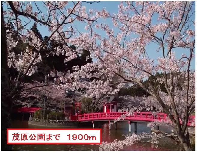 茂原公園まで1900m
