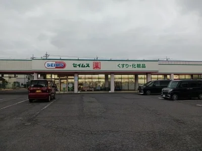 ドラッグセイムス元総社店まで200m
