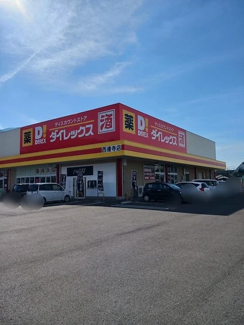 ダイレックス西蓮寺店まで1600m