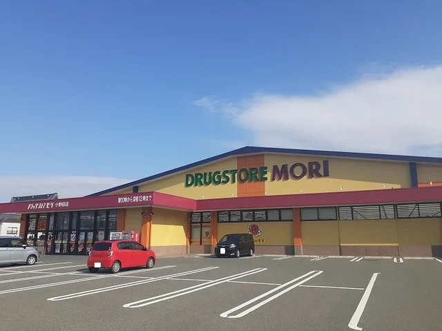 ドラッグストアモリ小野田店まで2500m