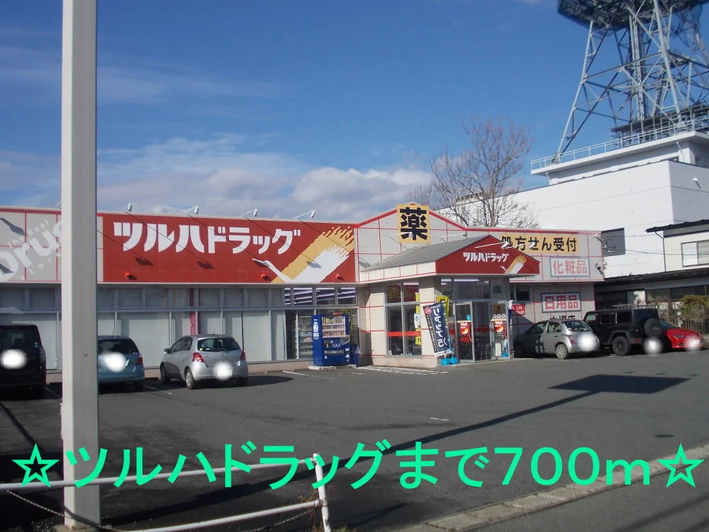 ツルハドラッグまで700m