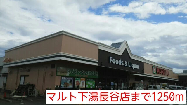 マルト下湯長谷店まで1250m