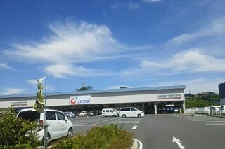 カワチ薬品まで750m